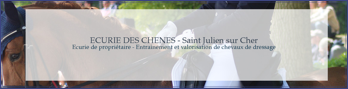 ECURIE DES CHENES - Saint Julien sur Cher